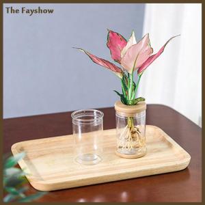 [The Fayshow] Lazy Transparent Flowerpot Hydroponic Automatic Water Absorption Flowerpot