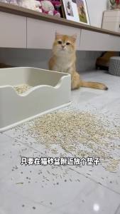 Large Cat Litter Mat Waterproof Double Layer Non Slip Litter Tray Pad Washable DurableToilet Training Mat2026