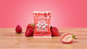 Natures Garden Probiotic Variety Pack Yoggies 21oz (30 x 0.7oz) Pack of 3 (Strawberry Yoggies 15x0.7 oz +Mixed Berry Yoggies 15x0.7 oz) Yogurt Covered Fruit Snacks High Fiber Real Fruit Pieces Office Snack Variety Packs For Adults Gluten Free