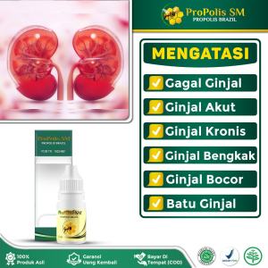 Obat Gagal Ginjal No 1 Gagal Ginjal Stadium 5 Gagal Ginjal Cuci Darah Gagal Ginjal Kronis Gagal Ginjal Akut - Ginjal Bengkak Ginjal Bocor Batu Ginjal - Propolis SM Brazil Original Resmi