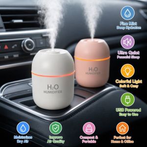 Mini Usb Humidifier Ultrasonic Cool Mist Dual Spray Mode Auto Shut Off Portable Air Humidifier For Car Office Use