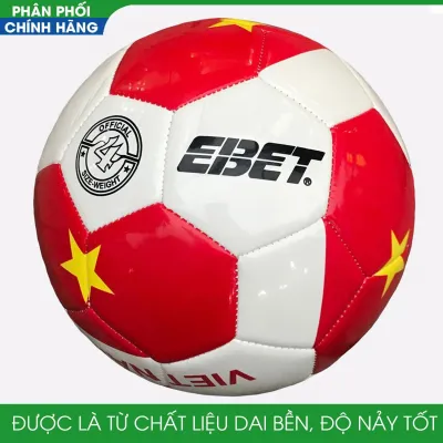 Qủa Bóng đá Động Lực trẻ em hình Việt Nam vô địch Hàng nhập khẩu size 345 tặng kèm kim bơm bóng +lưới đựng bóng