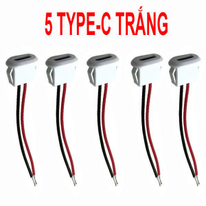 5 Giắc cái TypeC dài 10cm 2 dây cổng sạc typeC khoét lỗ 14x5mm