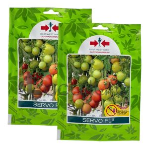 Benih Tomat SERVO F1 Isi 150 Butir Cap Panah Merah