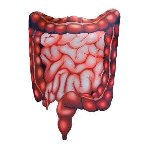 SDFSF สมจริง ชุดคอสเพลย์ดีไซน์หัวใจ ความคิดสร้างสรรค์ ภาพพิมพ์อวัยวะภายใน จั๊มสูทพิมพ์ลาย ชุดเกม ตลก ชุดฮาโลวีนสำหรับเด็ก ชายหญิง