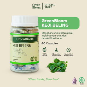 GreenBloom Keji Beling - Batu Ginjal Batu Empedu Diuretik Nyeri Pinggang | Obat Herbal Suplemen