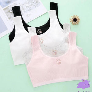 เสื้อชั้นในสำหรับเด็กผู้หญิงสวมใส่สบายและมีสไตล์ในขนาด 27 ถึง 72 กก