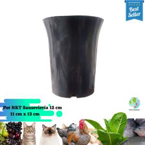 (6 pc) Pot Bunga Sense NKT Sansevieria Ukuran 12