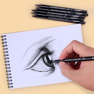 6pcs Woodless Graphite Pencils Set HB 2B 4B 6B 8B EE Sketch Drawing Black Charcoal Pencils Art Supplies for Artists Students