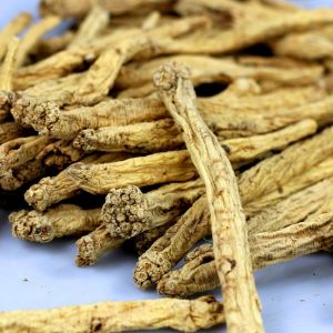 特级野生甘肃党参 大条 Pilose Asiabell Root 100g Pilose Asiabell Root Codonopsis Pisula 补气养脾胃 中药材特等