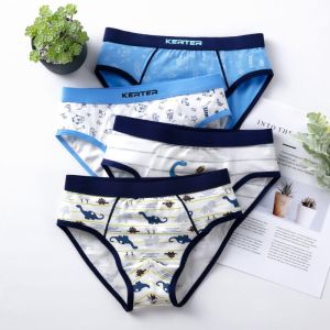 Chip bé trai size đại sét 2 quần lót trẻ em nam sịp cho bé từ 9-44kg