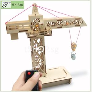 SG STOCK DIY Assemble Tower Lifting Crane for Kids STEM Science Engineering Experiment Set Building Assembly Toy for Children Educational Toys