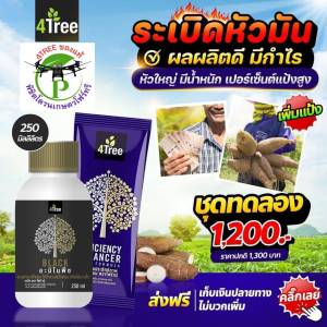 ชุดระเบิดหัวมันสำปะหลัง 4Tree ชุดเล็ก โฟร์ทรี 1 ซอง+แบล็คเล็ก 250ml. 1 ขวด ช่วยเร่งขยายหัว สารเสริมประสิทธิภาพพืชสูตรอิออน ช่วยเพิ่ม%น้ำยาง เพิ่มค่าแป้ง ป้องกันโรครากเน่าโคนเน่า ท่อน้ำเลี้ยงเน่า ป้องกันเชื้อรา เร่งหัวมันสำปะหลัง จากอิสราเอล ของแท้ 100%