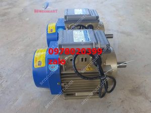 Mô tơ điện 22kw tốc nhanh