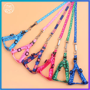 Easy-to-Use & Comfortable Pet Leashes: A Guide