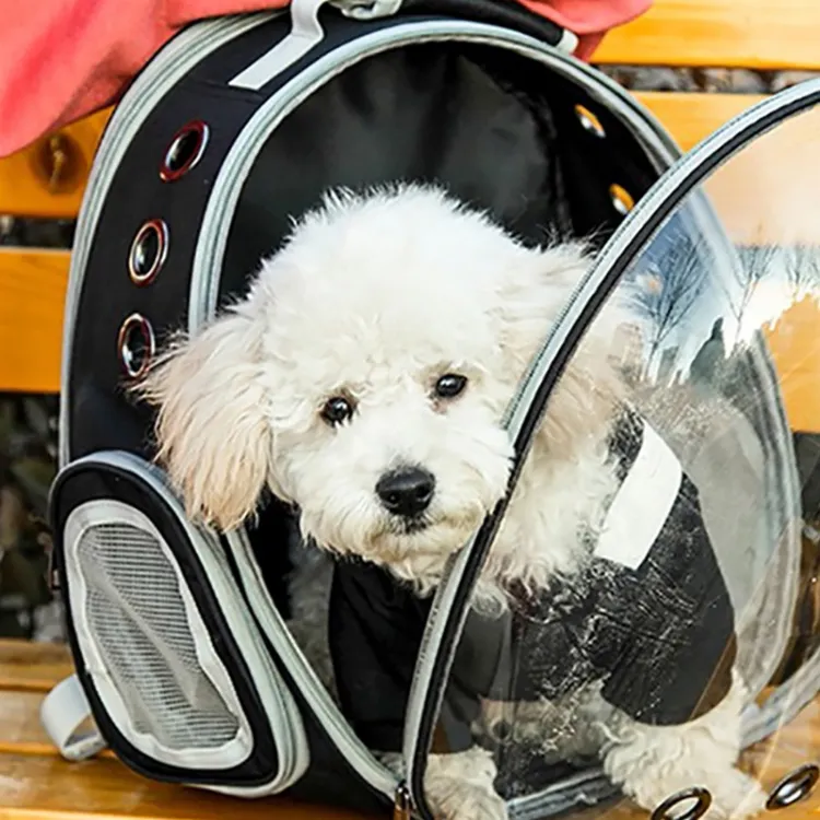Cat Bag Carrier Pet Carrier Bag Puppy Outdoor Travel Backpack Pet Capsule  Bag Transparent Space Carrying for Cat Adjustable Breathable