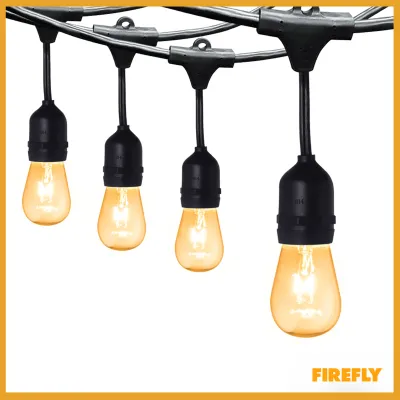 Firefly Decorative String Light
