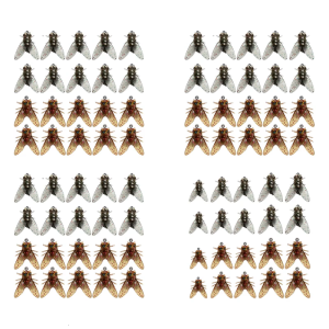 20Pcs Fly Fishing Baits Trout Jigs Swimbaits Fly Hook Soft Baits Freshwater Fly Spinner Swim Baits Easy to Use