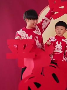 2026 Fu Character Door Sticker Photo Prop New Year Decoration Spring Festival Window Flower Wall Sticker Living Room Scene Arrangement