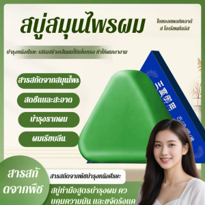 สบู่แชมพูทำมือ ป้องกันผมขาดหลุดร่วง และควบคุมความมัน Platycladus orientalis Usman hair solid antidandruff shampoo soap