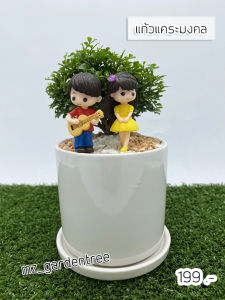 [ต้นไม้จริง] บอนไซแก้วแคระมงคล คู่เลิฟ