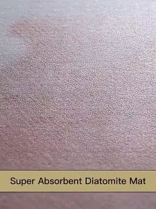 Ready Stock Bathroom Diatomite Mat Super Absorbent Floor Mat Soft Diatomite Mat Anti Slip Toilet Bath Mat