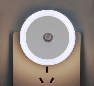 Đèn Ngủ Trang Trí Hình Gà Vàng Dễ Thương - Bóng Đèn Led Chú Gà Mini Không Dây Dùng Pin Decor Để Bàn - Đèn Ngủ LED 3D Chú Gà Con Không Dây Để Bàn Trang Trí Phòng Tiệc Sinh Nhật Dễ Thương / Đèn Gà