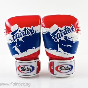 Fairtex Muay Thai Boxing Gloves Thai Pride