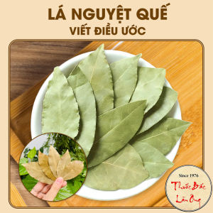 Lá Bay leaf Sigils may mắn lá nguyệt quế viết điều ước luật dấp dẫn lá chọn đẹp ko rách - Lãn Ông