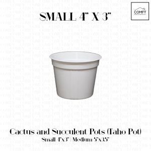 One Dozen (12pcs) Cactus and Succulent Flower Desk Pot Cute Mini Taho Round Corrugated Pots For Home Gardening