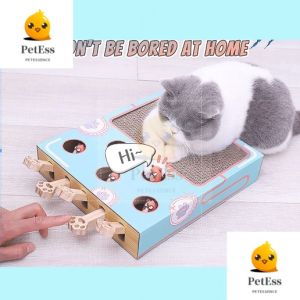 Enrichment Toys for Indoor Cats cat Whack a mole with cat Scratching pad Cardboard Box to Make Lots of Fun Interactive Toy to Relieve Boredom and Train I