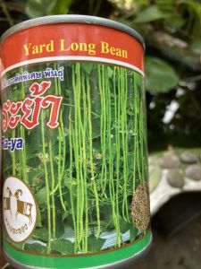 เมล็ดถั่วฝักยาว ถั่วระย้า ถั่วฝักยาวคัดพิเศษ ถั่วเนื้อ ตราแพะทอง 100 กรัม / 🔥 สิ้นอายุทำพันธุ์ 02 / 70