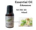 น้ำมันหอมระเหย ทีทรีออยล์  Tea Tree oil  Essential Oil, ทีทรีออยล์. 