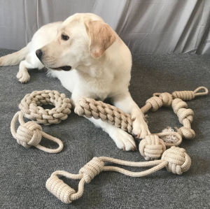 Cori Petto สินค้าพร้อมส่ง ของเล่นสุนัข เชือกฝ้าย เซท 9 ชิ้น 9 แบบ สำหรับกัดเล่น เชือกขัดฟัน เชือกของเล่นสำหรับสุนัข
