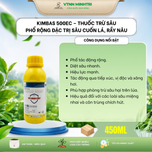 Kimbas 500EC – Thuốc trừ sâu phổ rộng thế hệ mới đặc trị sâu cuốn lá và rầy nâu hại lúa hiệu quả