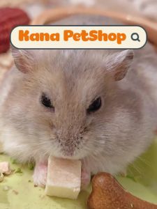 Gà Sấy Khô FreeShip Gà Viên Sấy Lạnh Thức Ăn Dặm Hamster Nhím Đồ Ăn Tiện Lợi Cho Chó Mèo ..... (tuandeptrai241091)