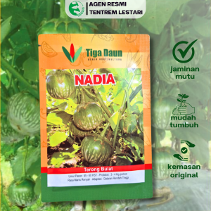 Benih Terong Bulat NADIA 10 Gram Asli Cap TIGA DAUN Manis & Renyah