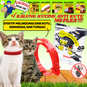 Kalung Anti Kutu Kucing Anjing No Flea Kalung Hewan Kucing Anjing