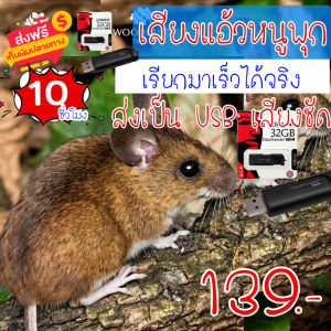 เสียงต่อ เสียงแอ้วหนูพุก เสียงเรียกหนู ความยาว 10 ชม.เสียงดัง เสียงใสกังวาน ได้ผล100%