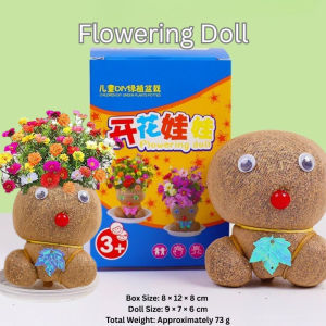 Rumput Patung Tumbuhan Hidup Hiasan Meja Hijau Mudah Jaga Tanaman Mini Pejabat Hadiah Comel Kids Cute Grass Head Doll Big Eyed Flat Headed Rye Grass Office Desktop Green Plant 可爱草头娃娃呆萌大眼仔平头哥黑麦草办公室桌面绿植草植物 A142