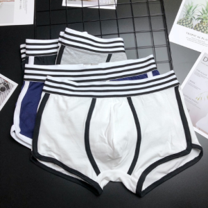 Quần lót đùi nam thể thao boxer sịp đùi nam cotton cạp viền kẻ cao cấp mềm mịn thoáng khí kháng khuẩn PC02A