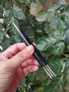 Cây Sao Chổi - Dụng Cụ Diện Chẩn - Chăm Sóc Sức Khỏe - Massage - Trị Liệu