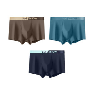 CMENIN 3Pcs New Nylon Mens Panties Bxoers Shorts Quick Dry Trunk Men Underwear Man Boxer Underpants Box M1885
