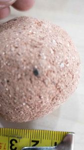 Lava rock /LONG LIFE  LAVA ROCKS BBQ/GRILLER USE/PER KG/1kg=8-9 pcs/烧烤火山石/Business as usual during A-FMCO!!