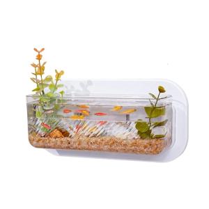 Wall Hydroponic Hanging Hydroponic Pot Living Room Decoration for Home Office Decoration