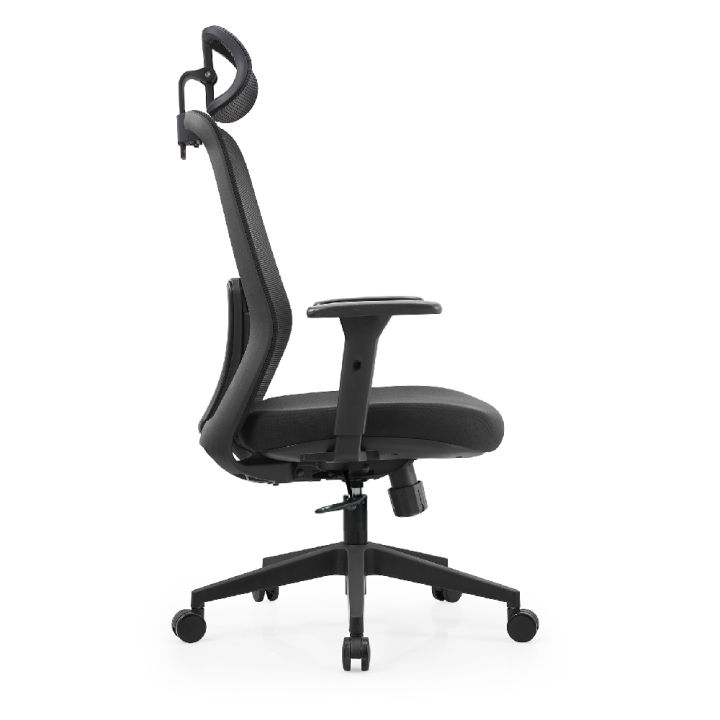 Ergotrend เก้าอี้เพื่อสุขภาพเออร์โกเทรน รุ่น DAWN | Lazada.co.th