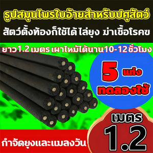 ธูปไล่ยุงสำหรับฟาร์มปศุสัตว์ ธูปจัมโบ้ตะไคร้ ไล่ ยุง 1.2เมตร 20แท่ง ยากันยุง ยาจุดกันยุง ธูปไล่ยุง ธูปจัมโบ้ตะใครัไล่ยุง ธูปตะไคร้ไล่ยุง