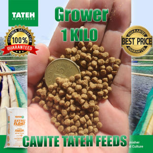 grower Floating pellet TATEH Aquafeeds 1KG Tilapia Hito Bangus Koi ETC.