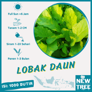 BENIH LOBAK DAUN LALAP SAYUR ISI ±1000 BENIH