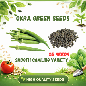 OKRA Seeds ( Smoth Camiling Variety)-Easy to Grow/High \Yield